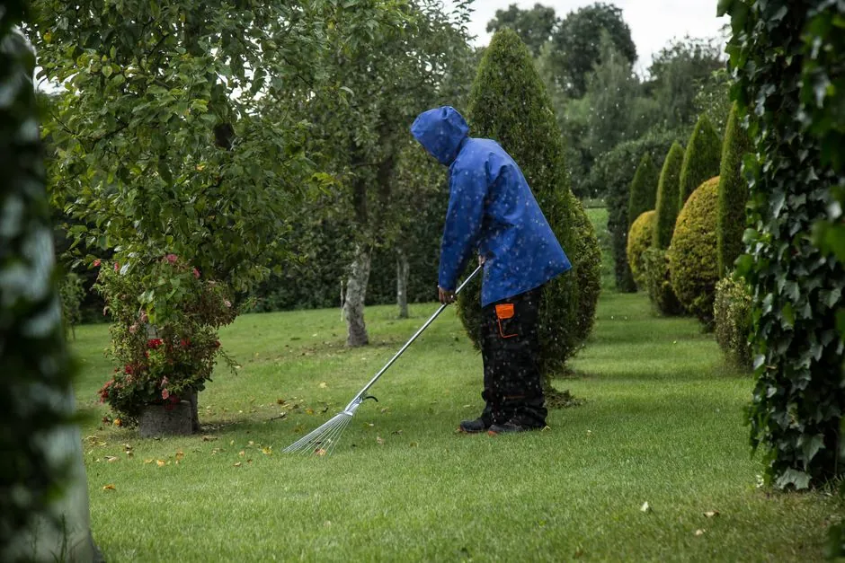 Taille de haies et soin du jardin